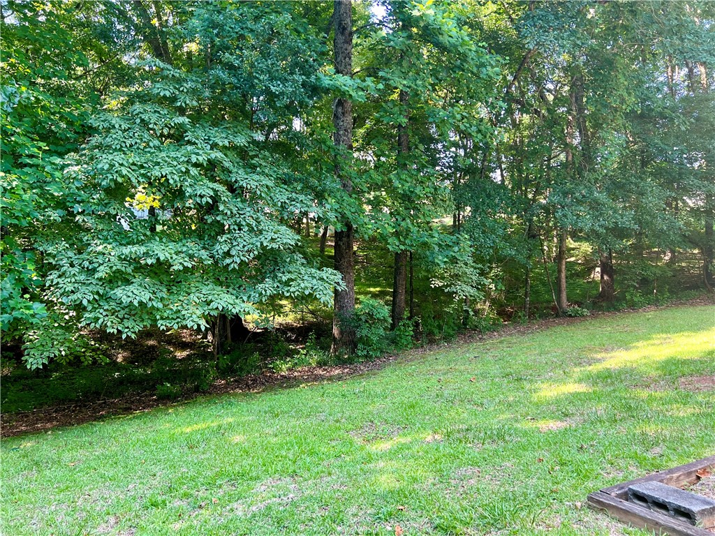 880 Burns Mill Road West Union, SC 29696 - Photo 23 of 25 Gallery Image 23