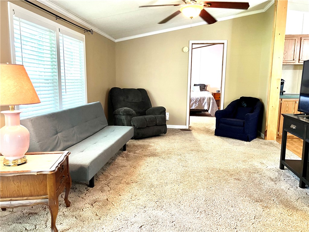880 Burns Mill Road West Union, SC 29696 - Photo 5 of 25 Gallery Image 5
