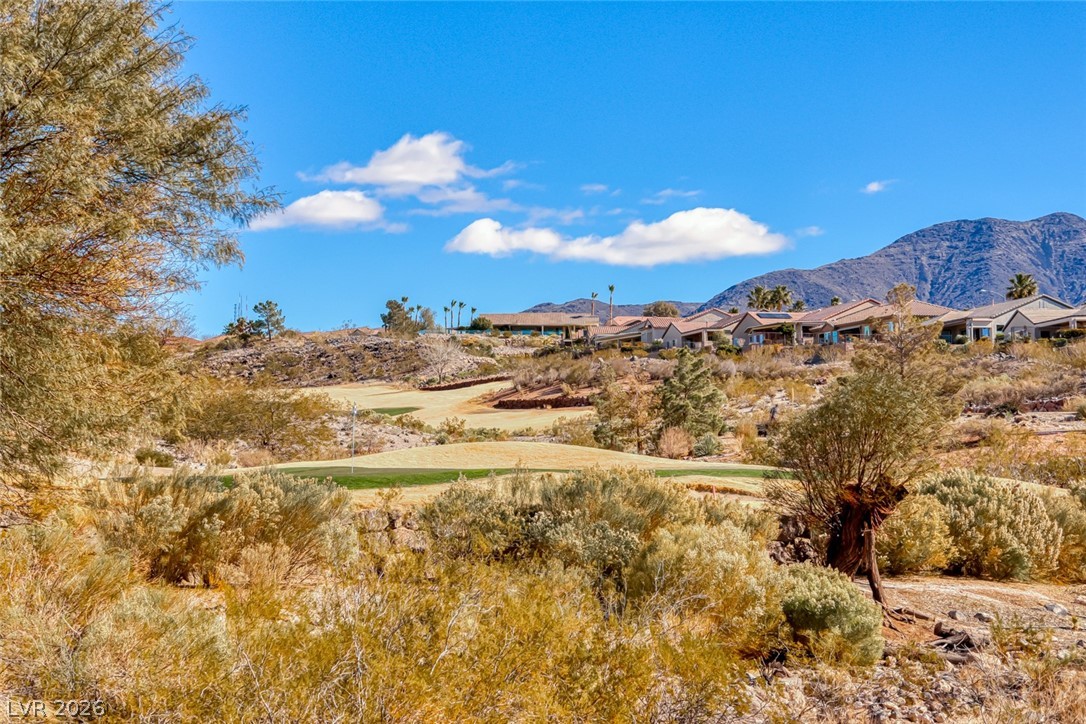 2372 Hardin Ridge Drive Henderson, NV 89052 - Photo 26 of 90