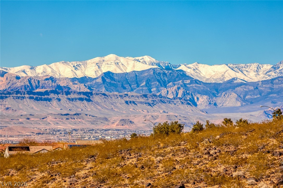 2372 Hardin Ridge Drive Henderson, NV 89052 - Photo 52 of 90