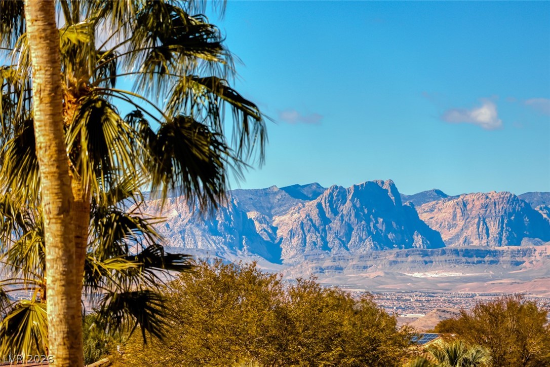 2372 Hardin Ridge Drive Henderson, NV 89052 - Photo 53 of 90