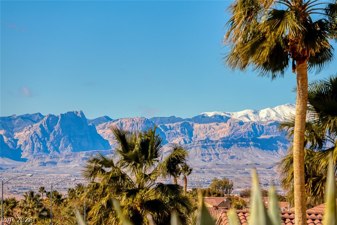 2372 Hardin Ridge Drive Henderson, NV 89052 - Photo 54 of 90