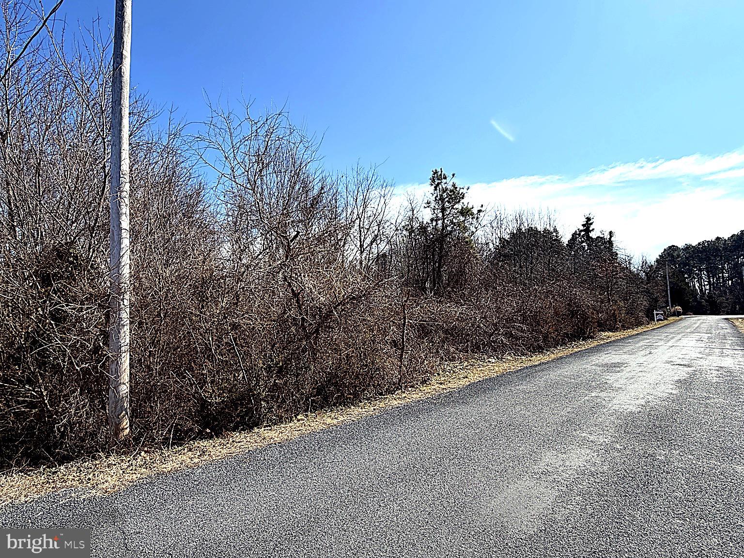 20910 Olen Mattingly Road Avenue, MD 20609 - Photo 3 of 4