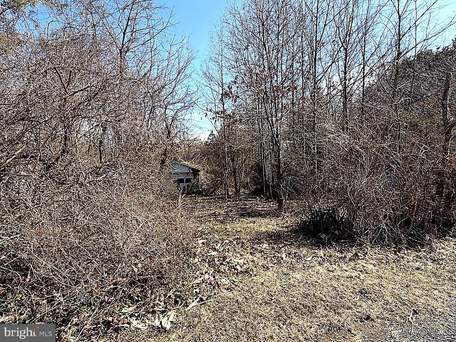 20910 Olen Mattingly Road Avenue, MD 20609 - Photo 4 of 4