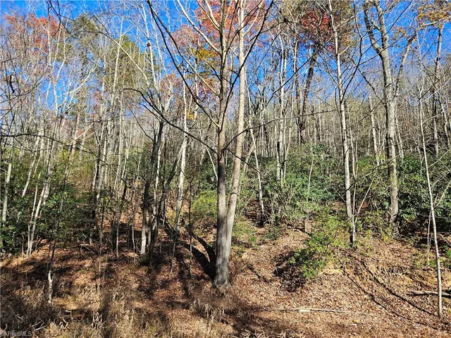 $115,000 | 3309 East Pine Street, Mount Airy, NC 27030