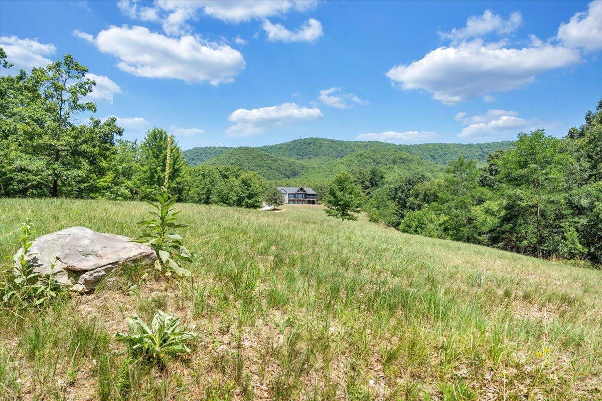 890 Blain Road Buchanan, VA 24066 - Photo 4 of 89 04-MIB04015