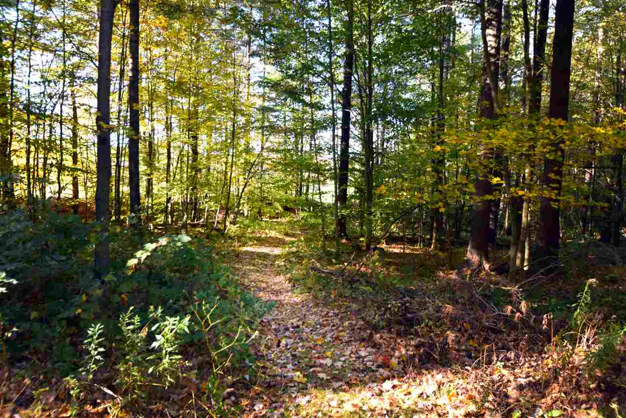 392 Browns Trace Road Jericho, VT 05465 - Photo 32 of 40