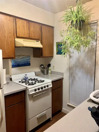 a kitchen with stainless steel appliances a stove a sink and a potted plant