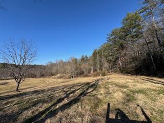 1638 New Stansbury Road Turtletown, TN 37391 - Photo 49 of 91