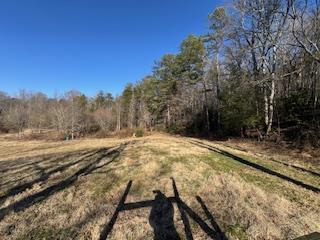 1638 New Stansbury Road Turtletown, TN 37391 - Photo 50 of 91