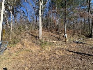 1638 New Stansbury Road Turtletown, TN 37391 - Photo 53 of 91