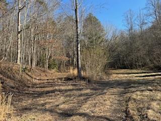 1638 New Stansbury Road Turtletown, TN 37391 - Photo 54 of 91