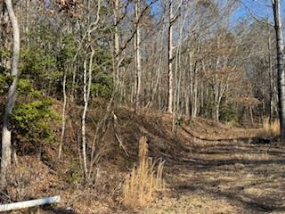 1638 New Stansbury Road Turtletown, TN 37391 - Photo 55 of 91 LETS BUILD SEVERAL SMALL/TINY CABINS