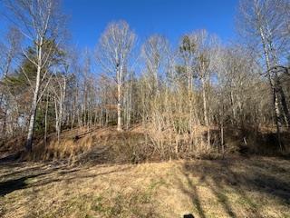 1638 New Stansbury Road Turtletown, TN 37391 - Photo 60 of 91