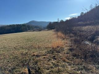 1638 New Stansbury Road Turtletown, TN 37391 - Photo 77 of 91