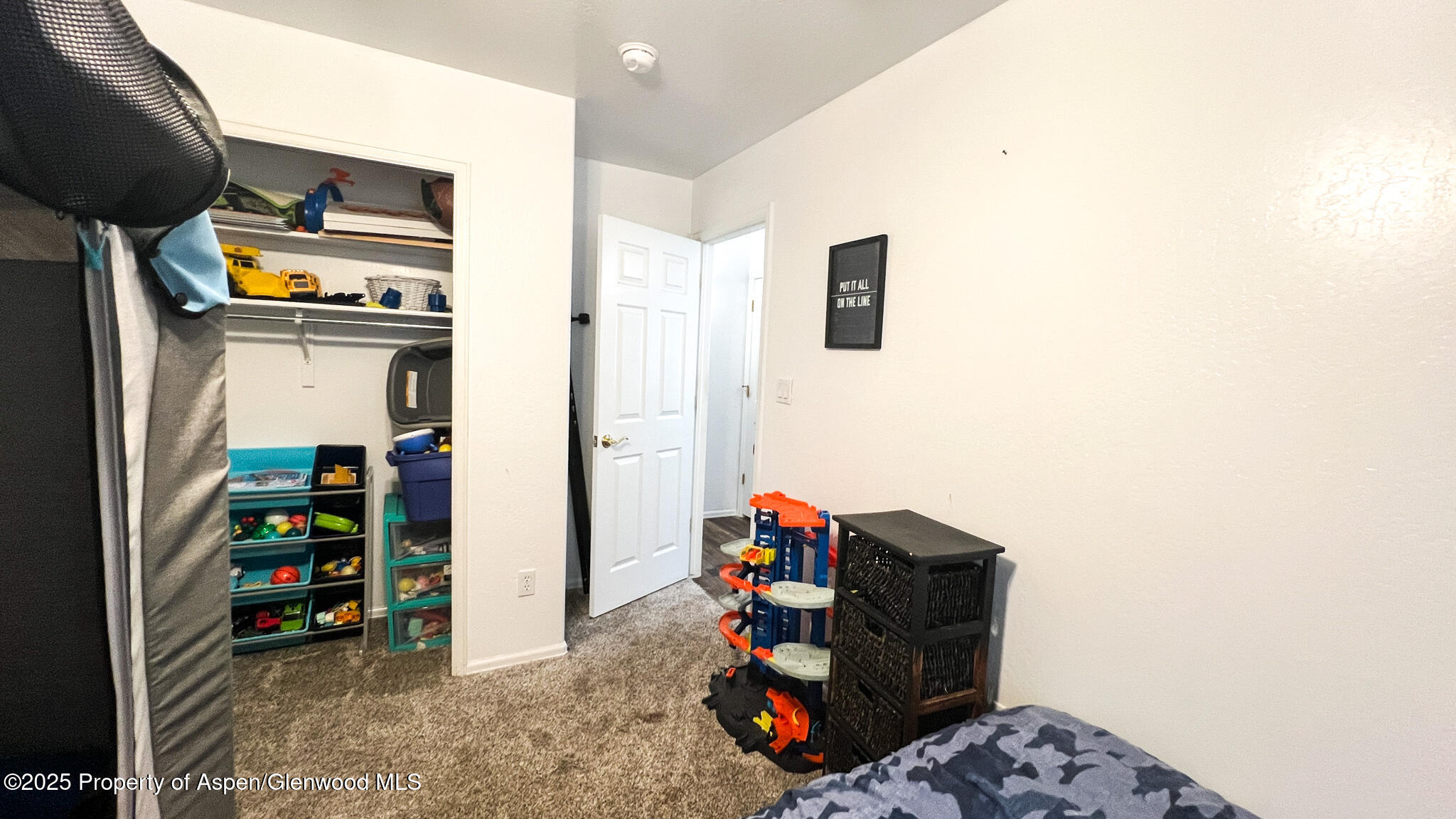 786 Comstock Drive Fruita, CO 81521 - Photo 27 of 38 a view of walk in closet with clothes