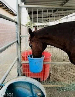 $1,450,000 | 9950 Rancho Destino Road, Las Vegas, NV 89183