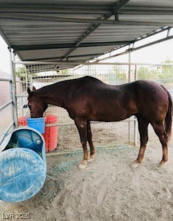 9950 Rancho Destino Road Las Vegas, NV 89183 - Photo 4 of 7