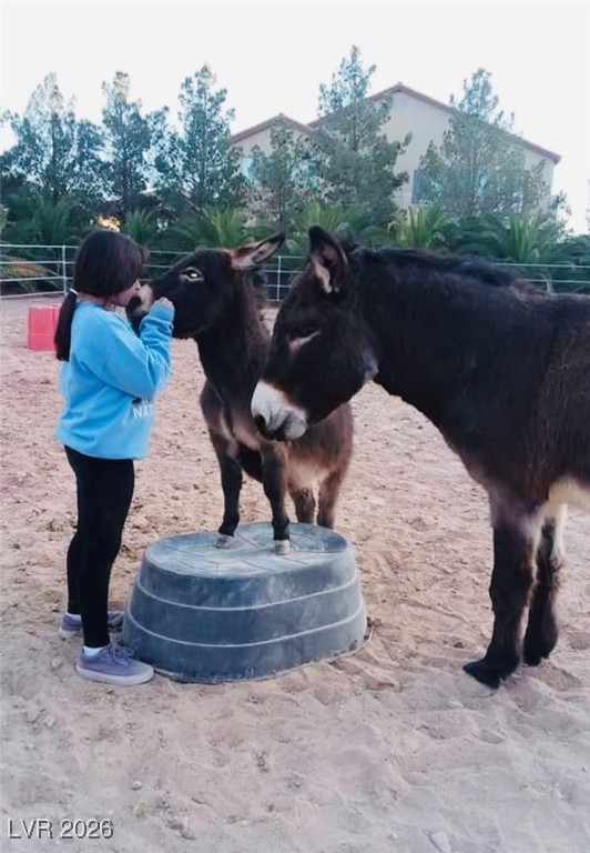 9950 Rancho Destino Road Las Vegas, NV 89183 - Photo 5 of 7