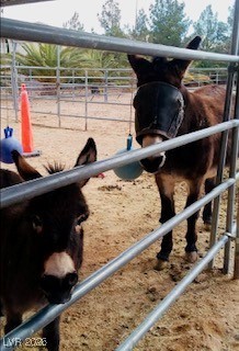 9950 Rancho Destino Road Las Vegas, NV 89183 - Photo 6 of 7