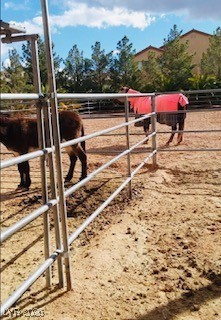 9950 Rancho Destino Road Las Vegas, NV 89183 - Photo 6 of 6