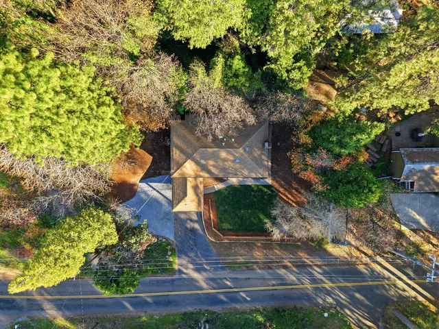 a view of statue in backyard