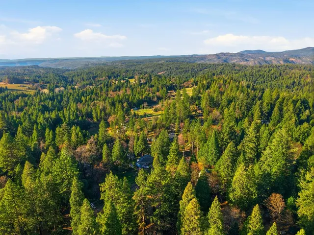 a view of a city with lush green forest