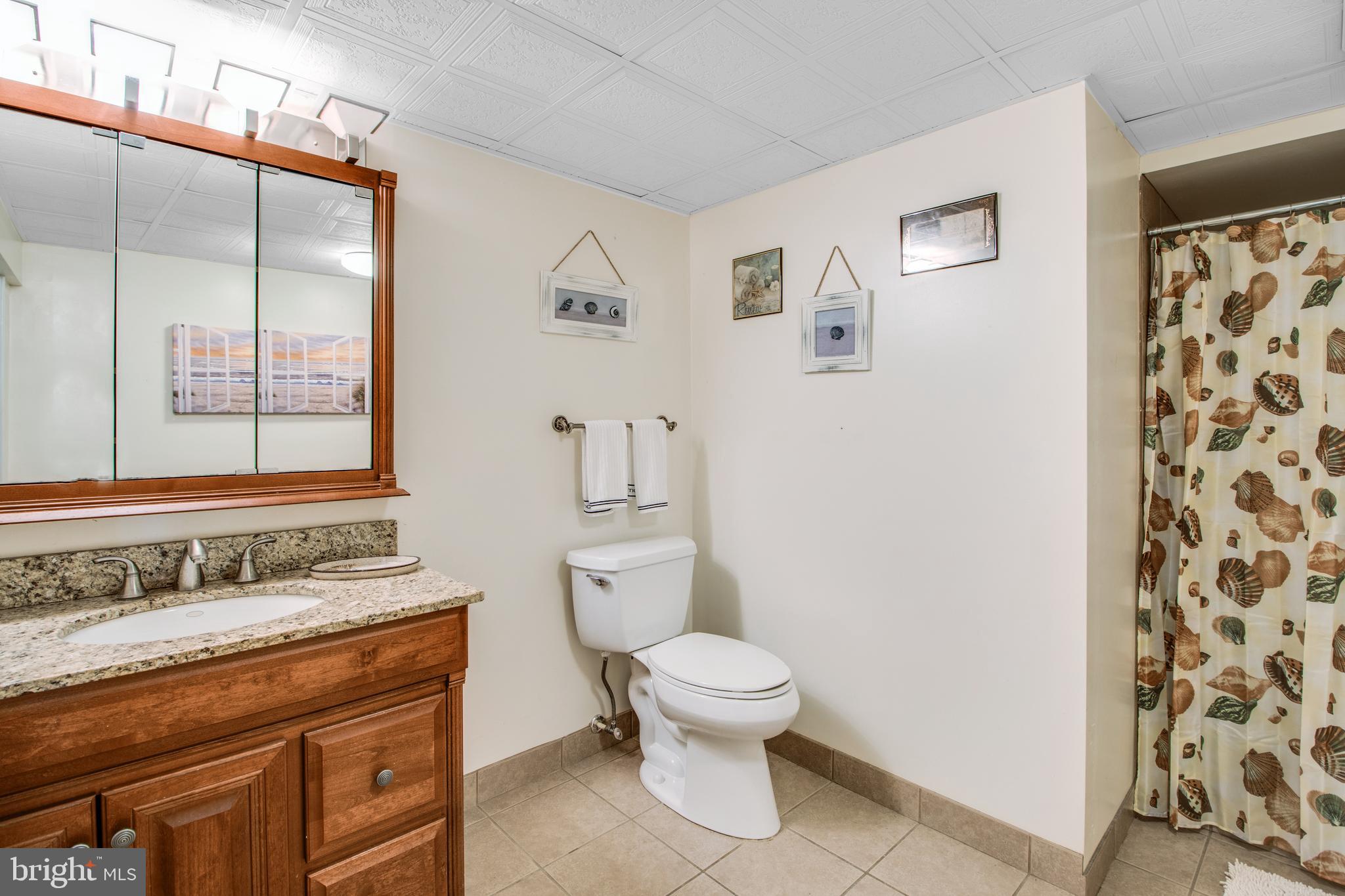 1104 Ridgeview Drive Morgantown, PA 19543 - Photo 20 of 32 Finished Basement Full Bath