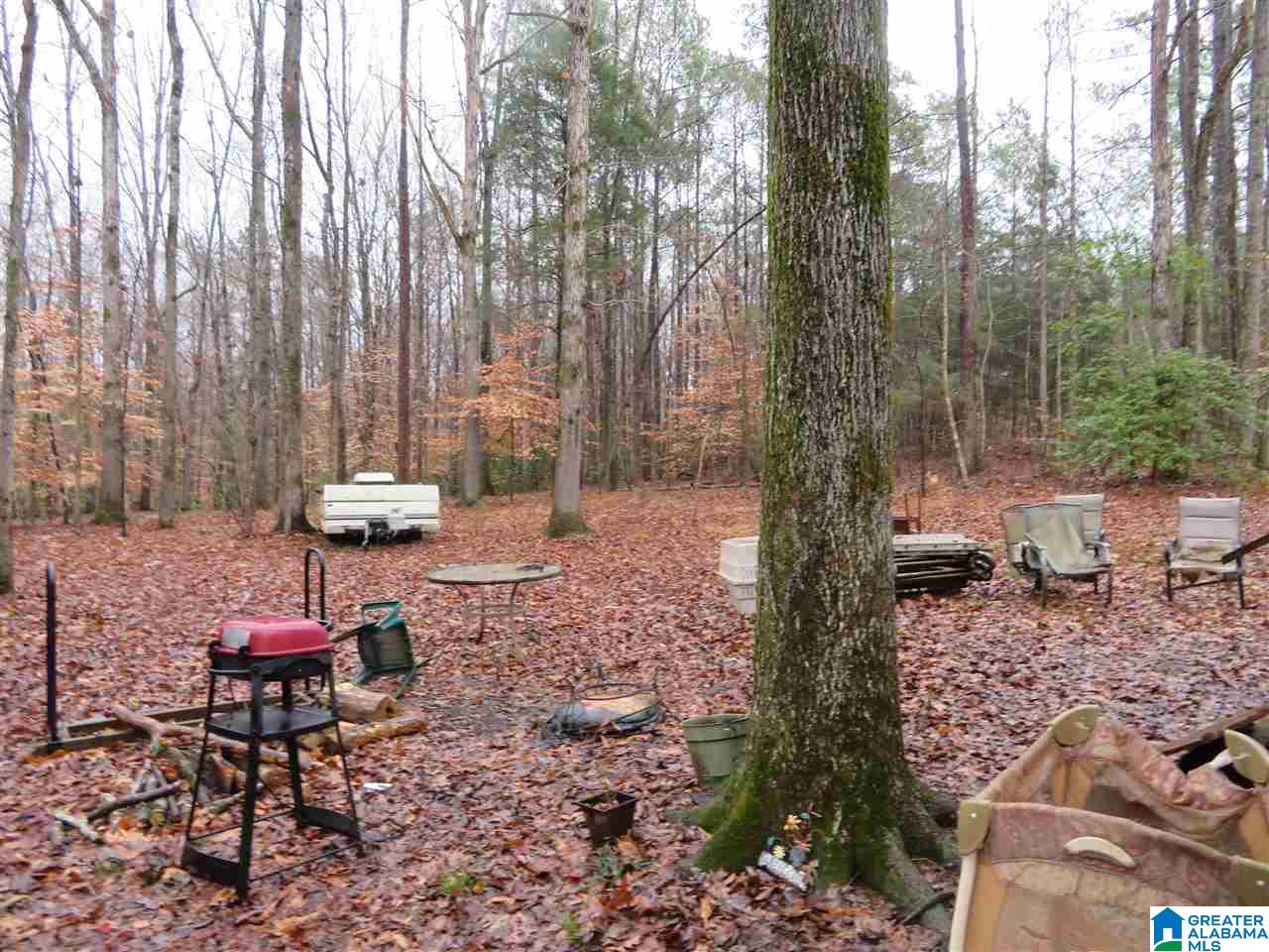 138 Cedar Grove Road West Blocton, AL 35184 - Photo 15 of 44