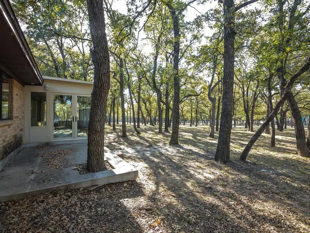 a view of a yard with a tree