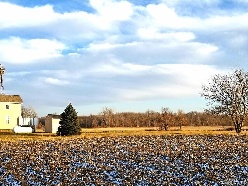 4917 Bruff Road Fowlerville, MI 48836 - Photo 30 of 37 20190103_213901.jpg