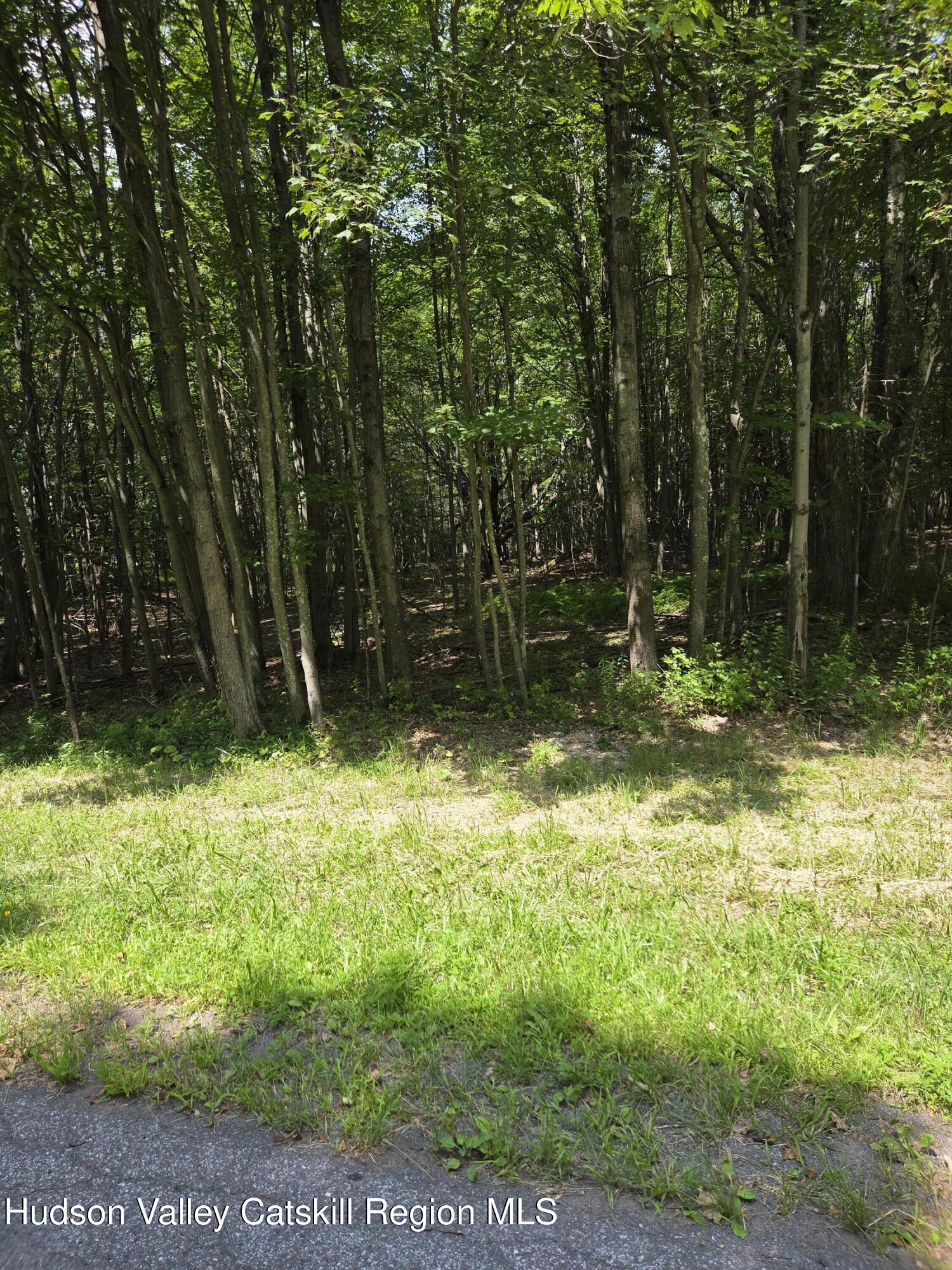 0 Harry Peckham Road Prattsville, NY 12468 - Photo 4 of 7 20260726_141307 (2)