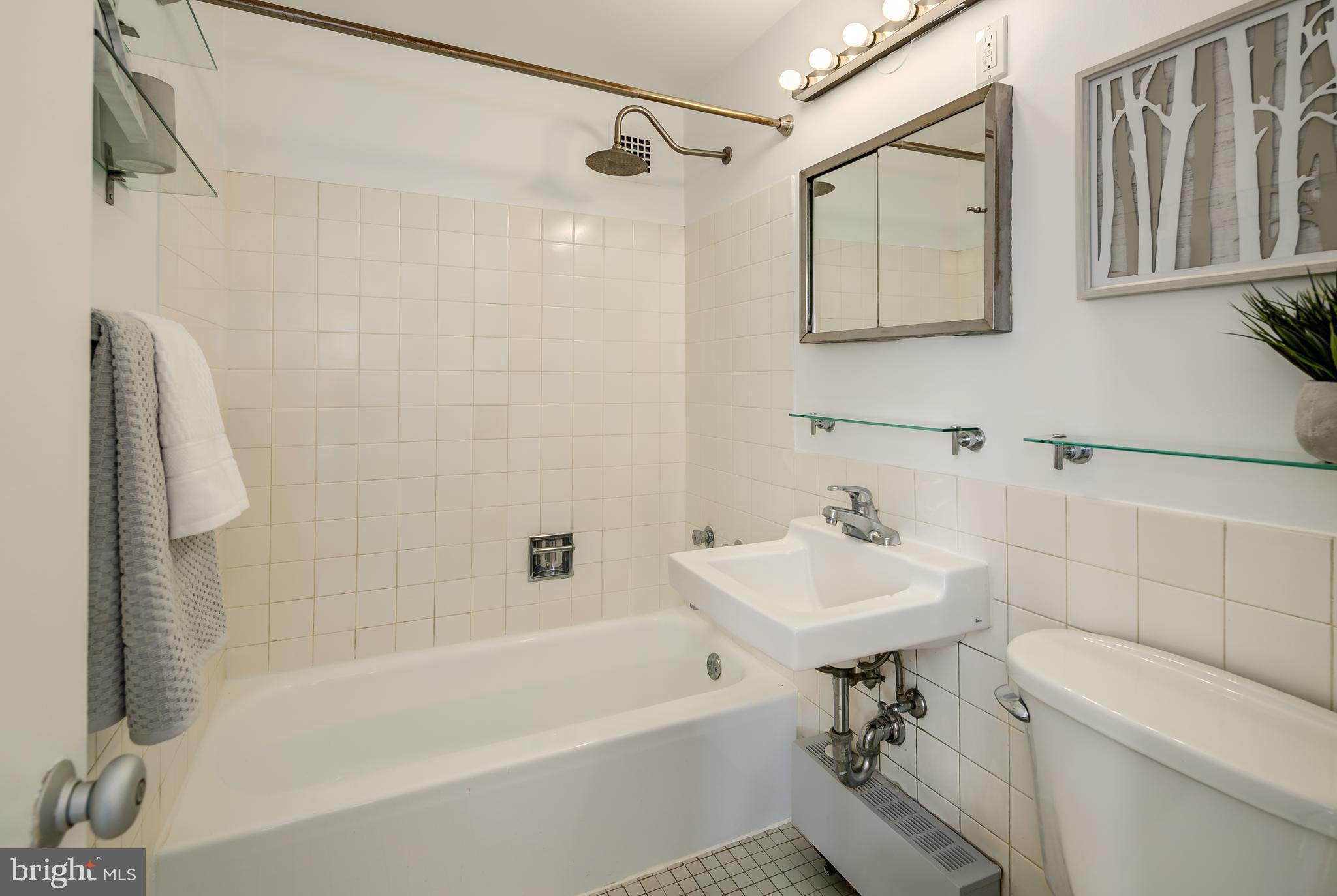 1301 Delaware Avenue Southwest, Unit N512 Washington, DC 20024 - Photo 18 of 28 a bathroom with a sink a toilet and a bathtub