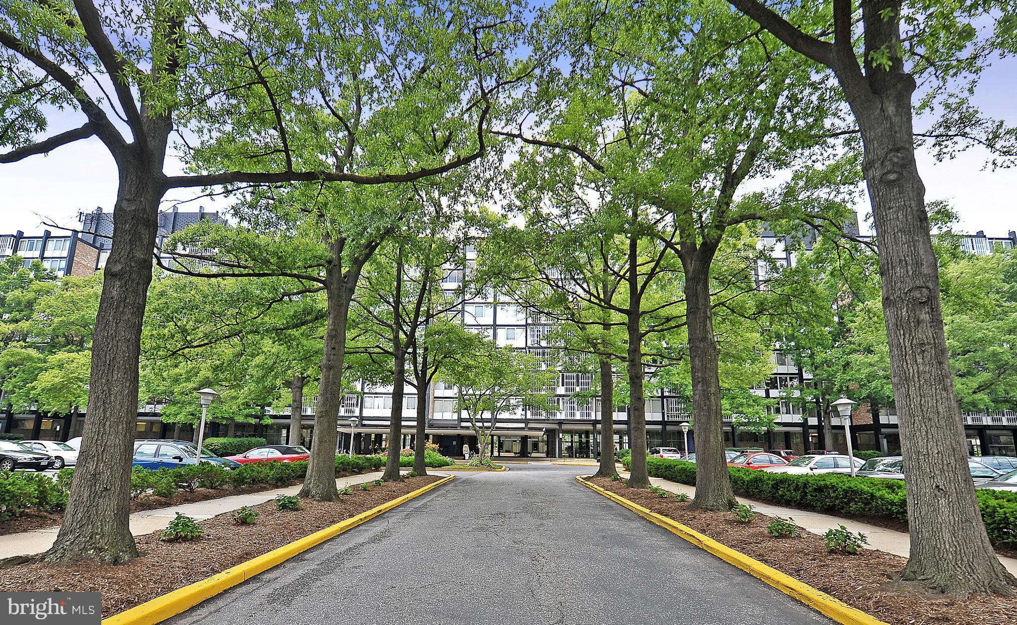 1301 Delaware Avenue Southwest, Unit N512 Washington, DC 20024 - Photo 20 of 28 a view of a park with large trees