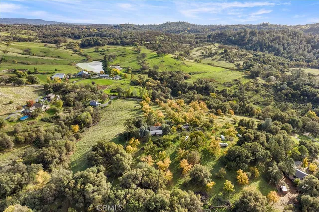 a view of a big yard with lots of bushes