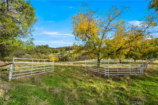 a view of yard with green space