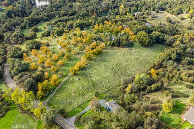 a view of a forest with a lush green forest