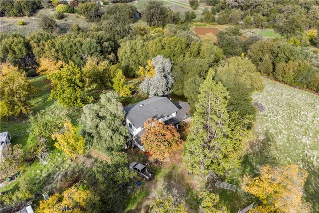 a view of a yard with an outdoor space