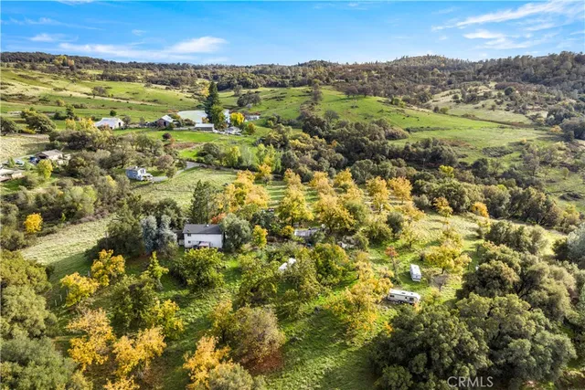 a view of a yard with large trees