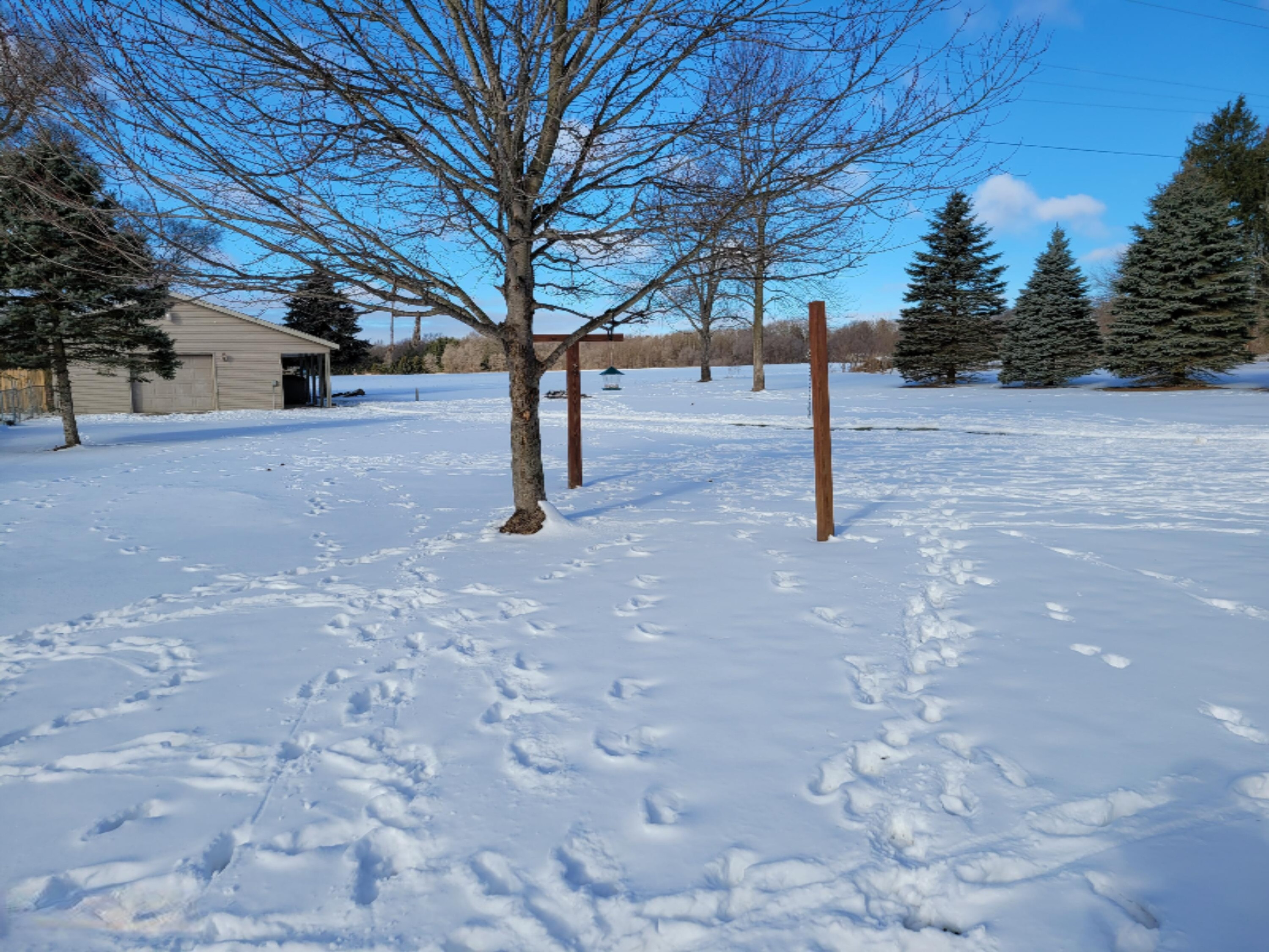 56210 Wilbur Road Three Rivers, MI 49093 - Photo 5 of 24 20210203_103726