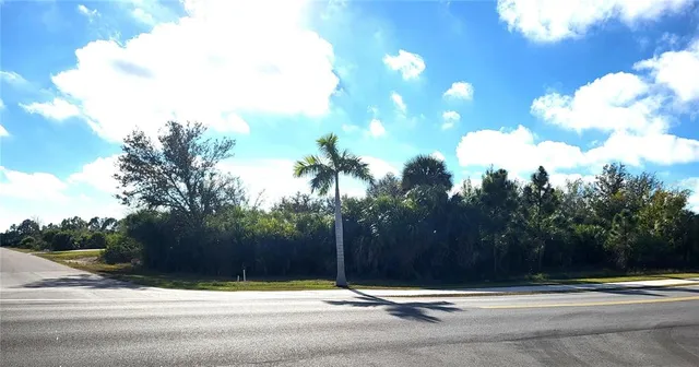 a view of a fountain with a tree in front of it