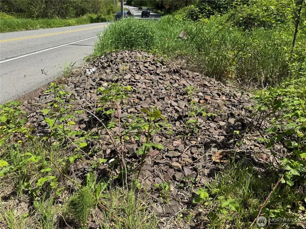 a view of a garden with plants