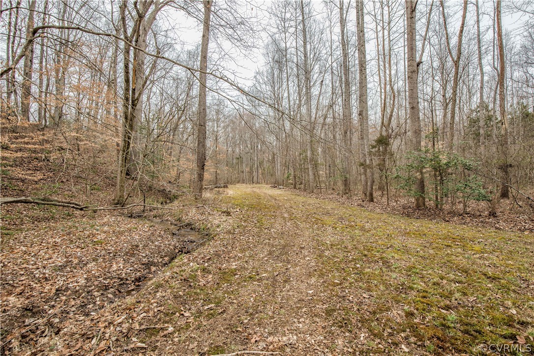 2519 Mill Road Powhatan, VA 23139 - Photo 44 of 46 Gallery Image 44