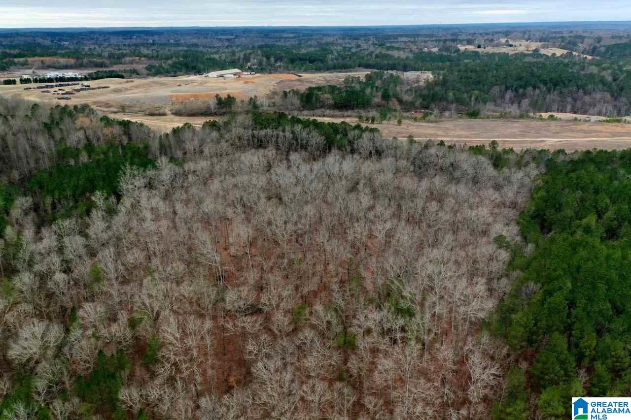 0 Trafford County Line Road Trafford, AL 35172 - Photo 5 of 9 Gallery Image 5
