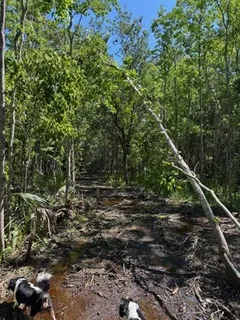 $600,000 | 0 Copal & David Dr Street, Mandeville, LA 70448