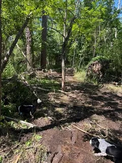 $600,000 | 0 Copal & David Dr Street, Mandeville, LA 70448