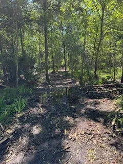 $600,000 | 0 Copal & David Dr Street, Mandeville, LA 70448