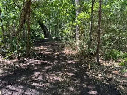 $600,000 | 0 Copal & David Dr Street, Mandeville, LA 70448