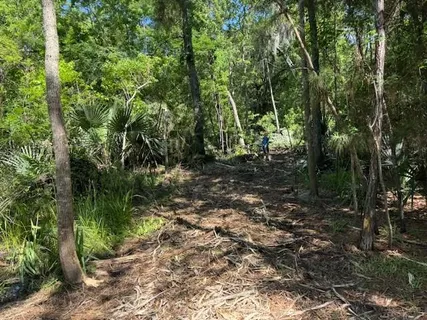 $600,000 | 0 Copal & David Dr Street, Mandeville, LA 70448
