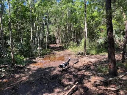 $600,000 | 0 Copal & David Dr Street, Mandeville, LA 70448